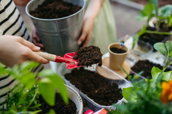 Students growing vegetable and herb seedlings. Outdoor sustainable education class in school garden Concept of experiential learning, ecoliteracy.