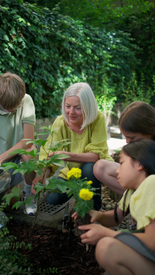 Students and female teacher at outdoor sustainable education class. Kids taking care of plants in school garden. Concept of experiential learning, ecoliteracy.