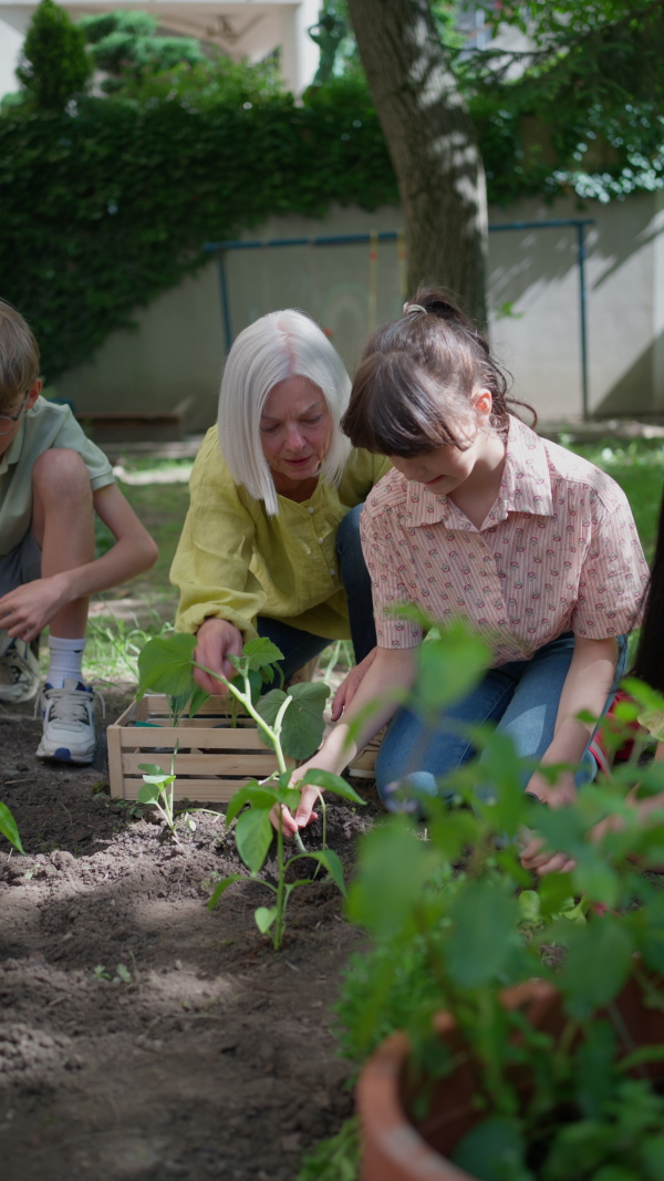 Students and female teacher at outdoor sustainable education class. Kids taking care of plants in school garden. Concept of experiential learning, ecoliteracy.