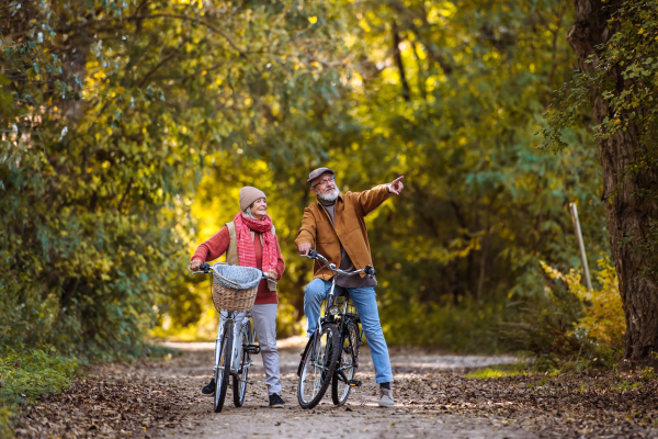 Lovely elderly couple on walk in the forest, pushing their bikes side by side. Seniors in love on stroll through autumn nature, enjoying a peaceful moment together.