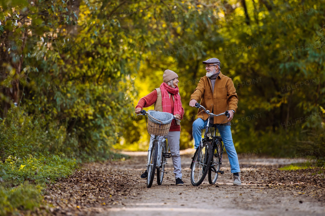 Elderly couple on walk in the forest, pushing their bikes side by side. Seniors in love on stroll through autumn nature, enjoying a peaceful moment together.