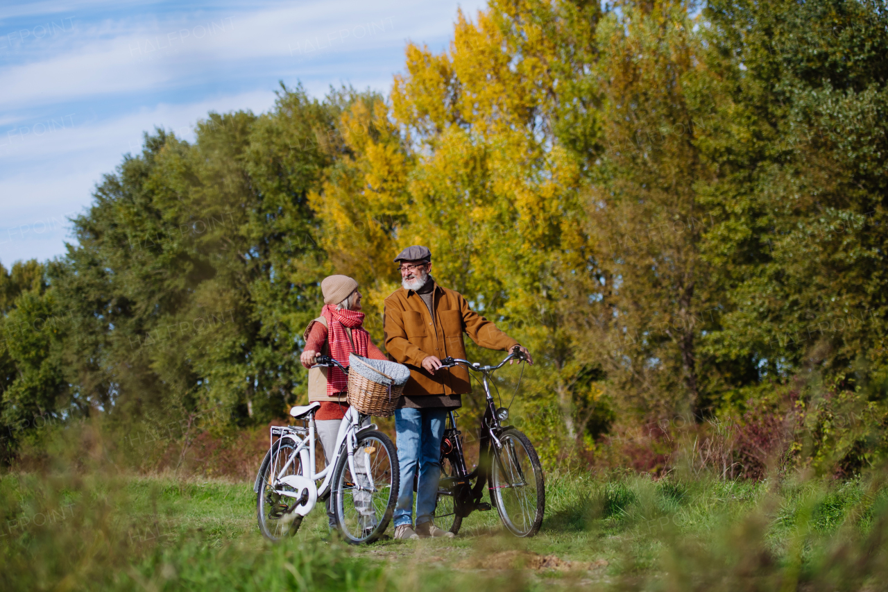 Elderly couple on walk in the forest, pushing their bikes side by side. Seniors in love on stroll through autumn nature, enjoying a peaceful moment together.