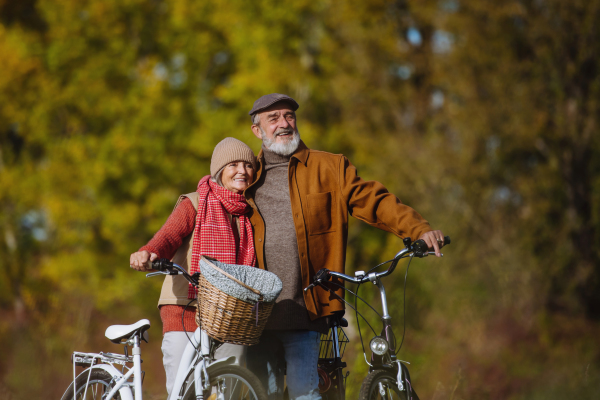 Lovely elderly couple on walk in the forest, pushing their bikes side by side. Seniors in love on stroll through autumn nature, enjoying a peaceful moment together.