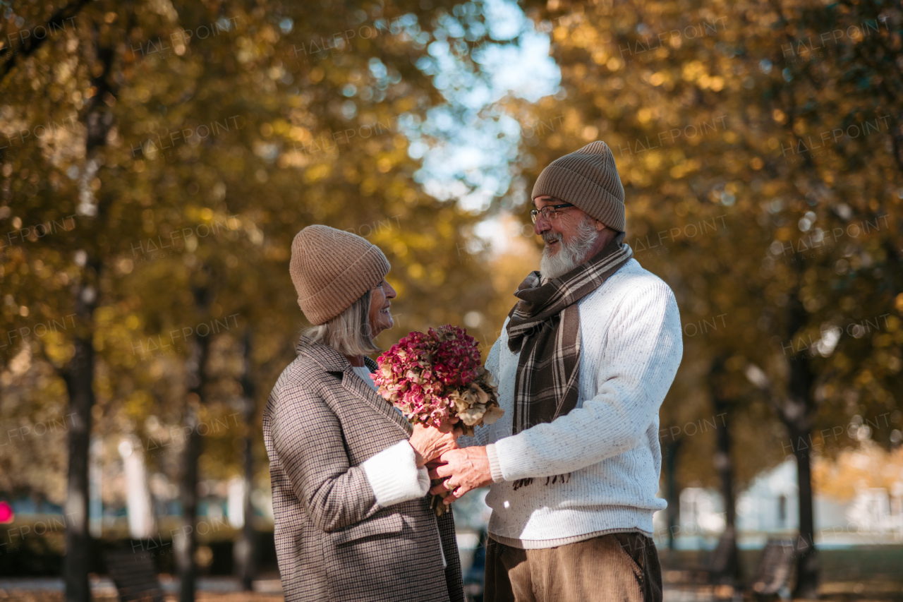 Elderly husband giving wife bouquet. Portrait of beautiful senior couple during walk in autumn park