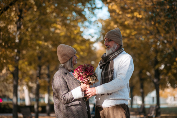 Elderly husband giving wife bouquet. Portrait of beautiful senior couple during walk in autumn park