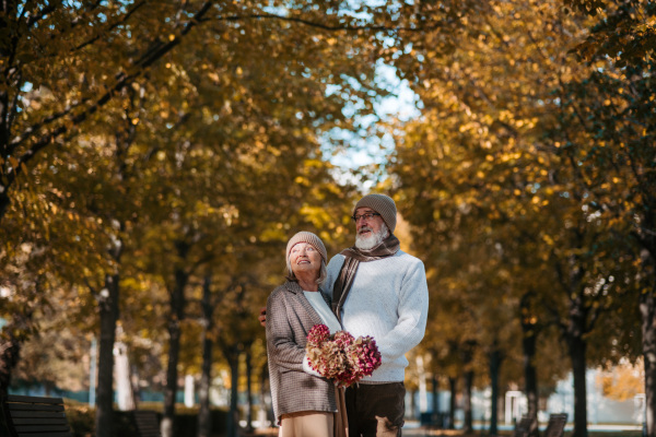 Elderly husband giving wife bouquet. Portrait of beautiful senior couple during walk in autumn park