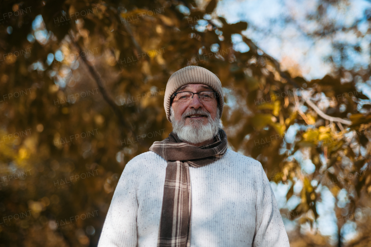 Portrait of smiling older man with a gray beard. Senior standing outdoors in nature, looking at camera