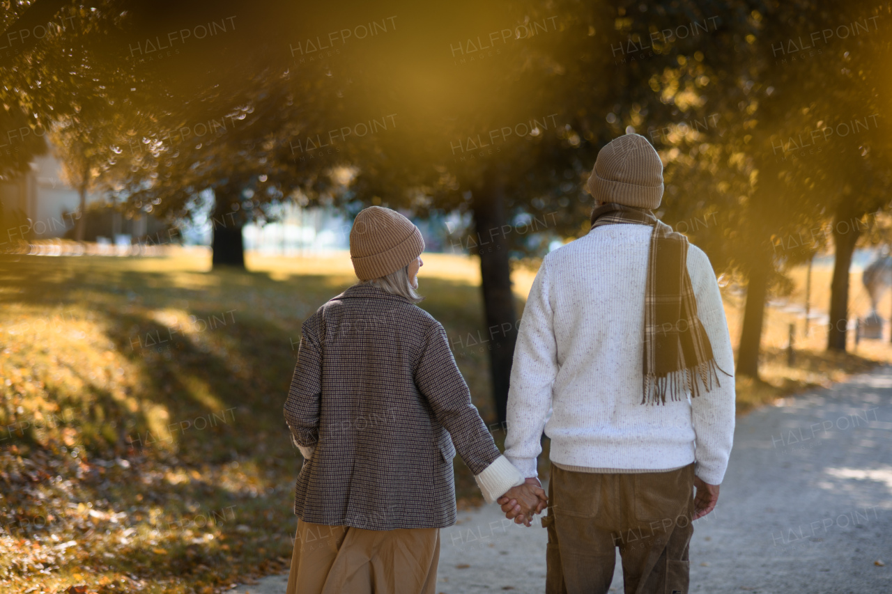 Rear view of beautiful senior couple during walk in autumn park. Elderly husband and wife holding hands.