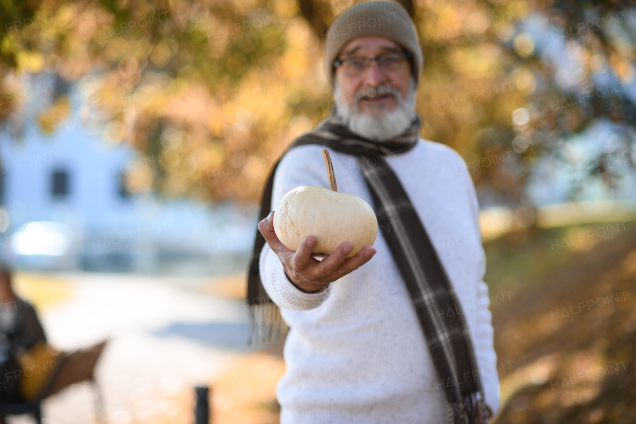 Portrait of smiling older man with pumpkin in hand. Senior standing outdoors in nature, looking at camera