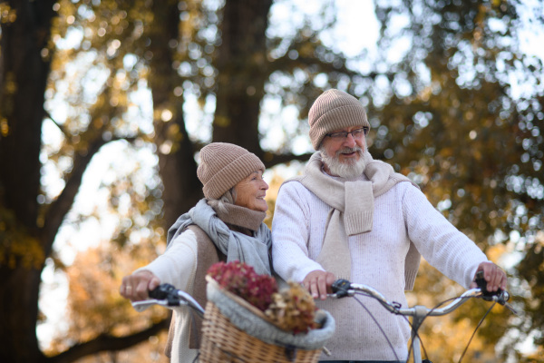 Elderly couple on walk in park, pushing their bikes side by side. Seniors in love on stroll through autumn city, enjoying a peaceful moment.