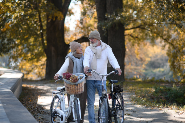 Elderly couple on walk in park, pushing their bikes side by side. Seniors in love on stroll through autumn city, enjoying a peaceful moment.