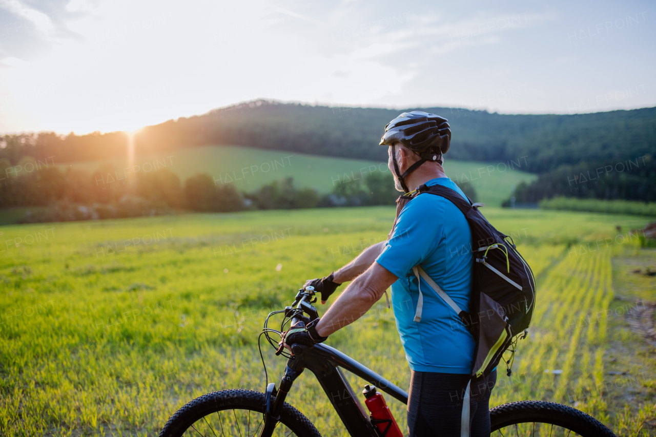 An active senior man riding bicycle at summer park, healthy lifestyle concept.