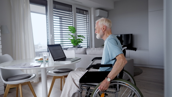 Senior man in a wheelchair working from home during retirement. Video of elderly man using digital technologies, working on a laptop. Concept of seniors and digital skills.