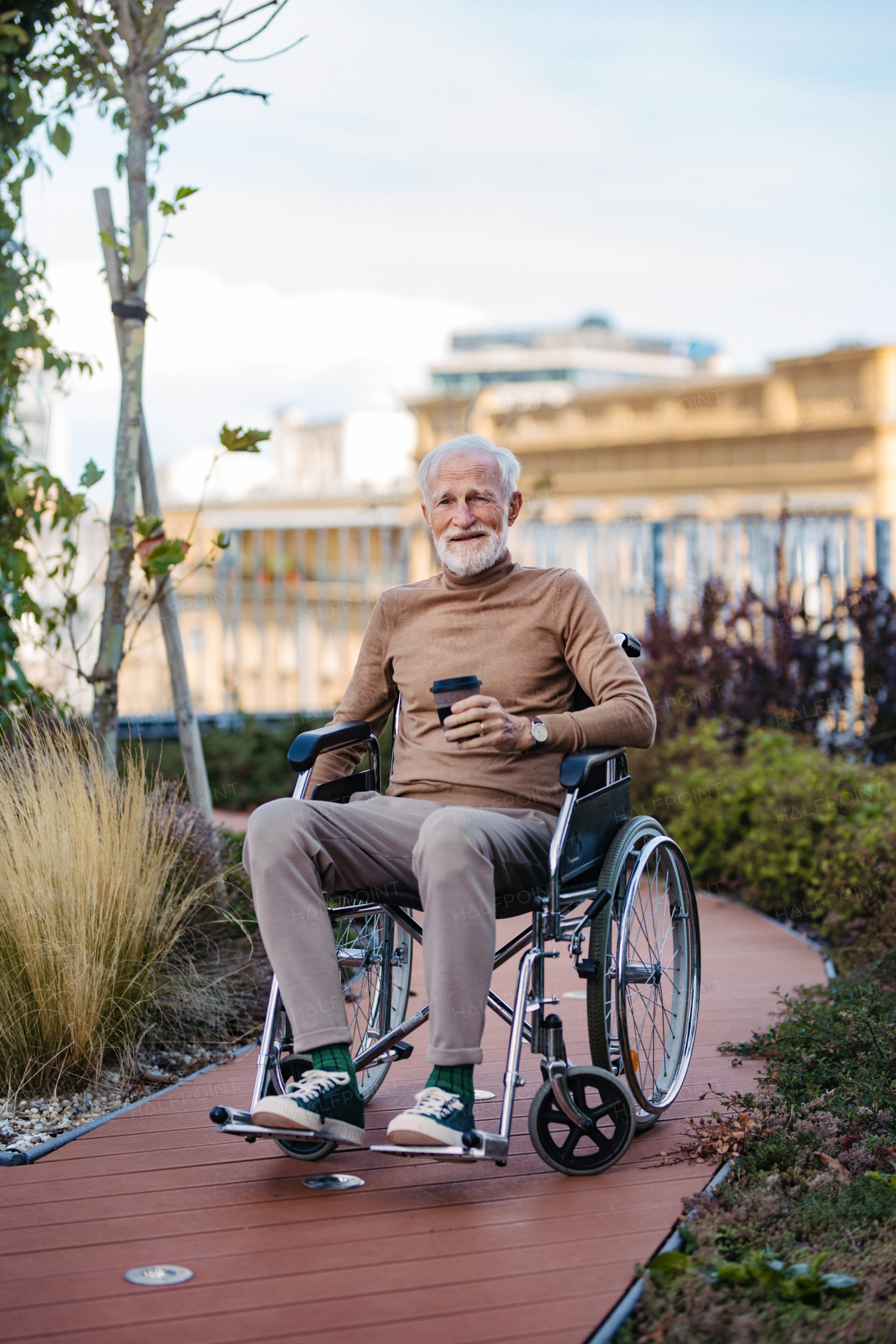 Portrait of senior man in a wheelchair sitting outside in an urban garden, enjoying coffee and warm autumn day. Portrait of a elegant elderly man with gray hair and beard in rooftop garden in the city.