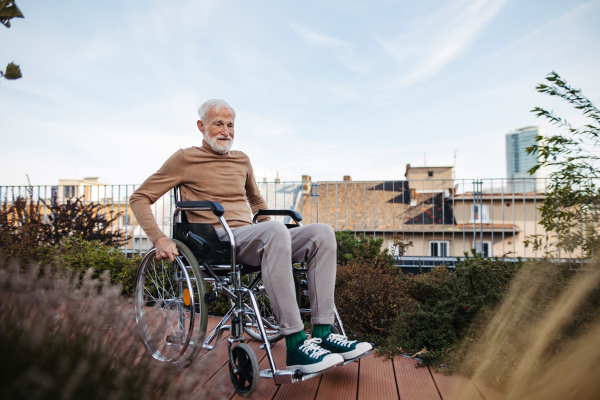 Senior man in a wheelchair sitting outside in an urban garden, enjoying a warm autumn day. Portrait of a elegant elderly man with gray hair and beard in rooftop garden in the city.