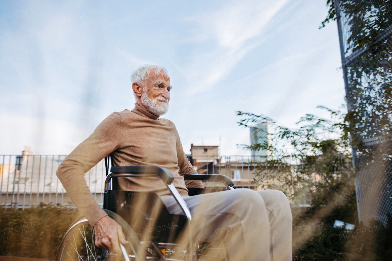 Senior man in a wheelchair sitting outside in an urban garden, enjoying a warm autumn day. Portrait of a elegant elderly man with gray hair and beard in rooftop garden in the city.