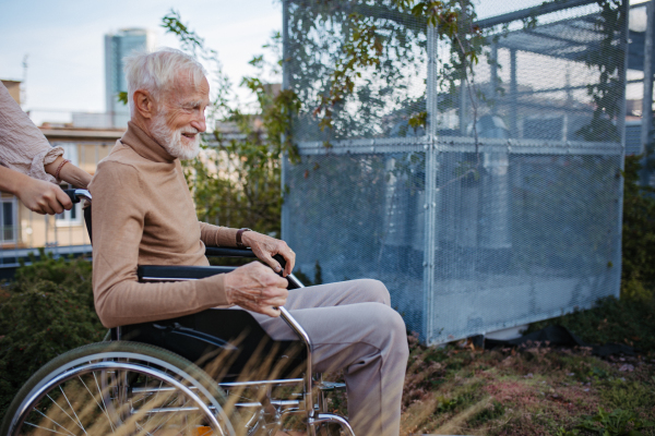 portrait of senior man in a wheelchair sitting outside in an urban garden, enjoying a warm autumn day. Portrait of a elegant elderly man with gray hair and beard in rooftop garden in the city.