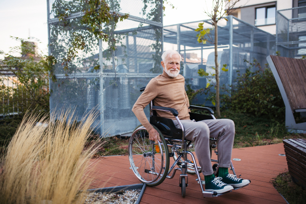 Senior man in a wheelchair sitting outside in an urban garden, enjoying a warm autumn day. Portrait of a elegant elderly man with gray hair and beard in rooftop garden in the city.