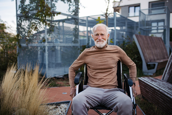 Senior man in a wheelchair sitting outside in an urban garden, enjoying a warm autumn day. Portrait of a elegant elderly man with gray hair and beard in rooftop garden in the city.