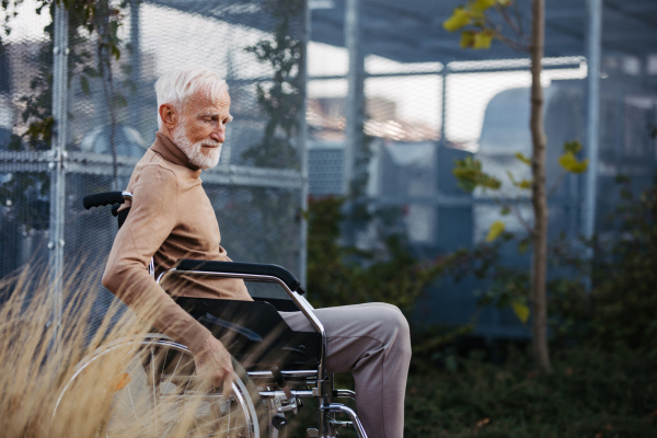 Senior man in a wheelchair sitting outside in an urban garden, enjoying a warm autumn day. Portrait of a elegant elderly man with gray hair and beard in rooftop garden in the city.