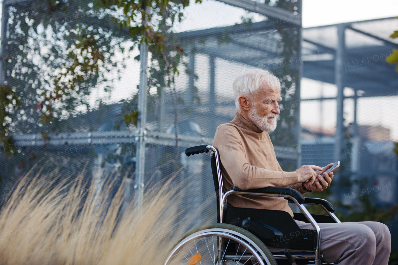 Portrait of senior man in a wheelchair sitting outside in an urban garden, scrolling on smartphone. Portrait of a elegant elderly man with gray hair and beard in rooftop garden in the city at autumn.