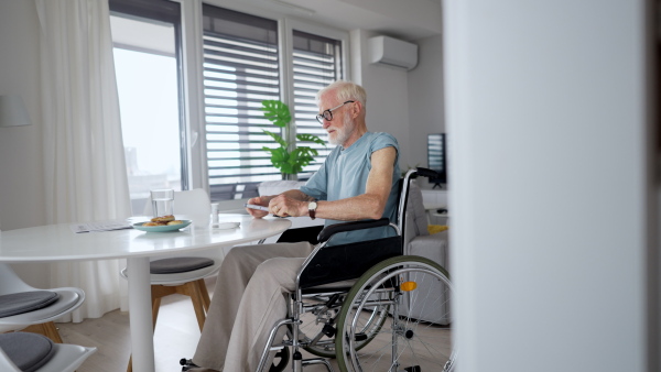 Diabetic senior man on wheelchair checking his blood sugar level with fingerstick urbaning glucose meter. Video of elderly man with type 1 diabetes using blood glucose monitor at home.