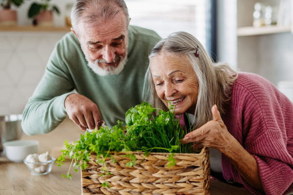 Senior couple smelling fresh herbs during cooking in their kitchen.