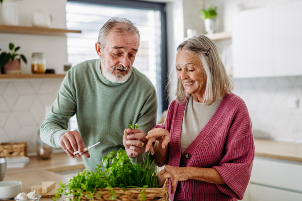 Senior couple smelling fresh herbs during cooking in their kitchen.