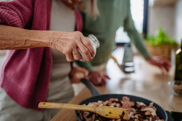 Senior couple cooking together in the kitchen.