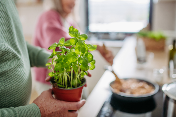 Senior couple cooking together in the kitchen.