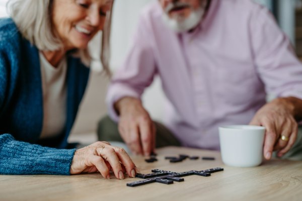 Senior couple playing dominoes game at home.