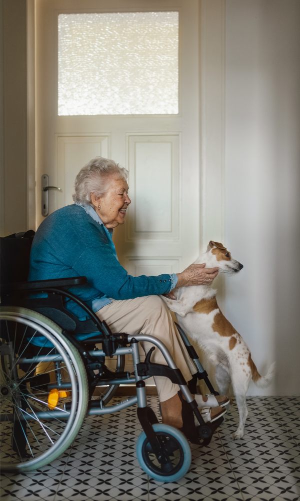 Senior woman on wheelchair enjoying time with her little dog.