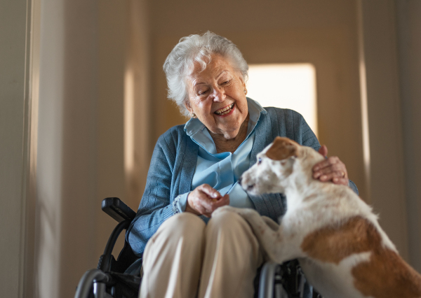 Senior woman enjoying time with her little dog at home. Dog as companion, best friends for senior.