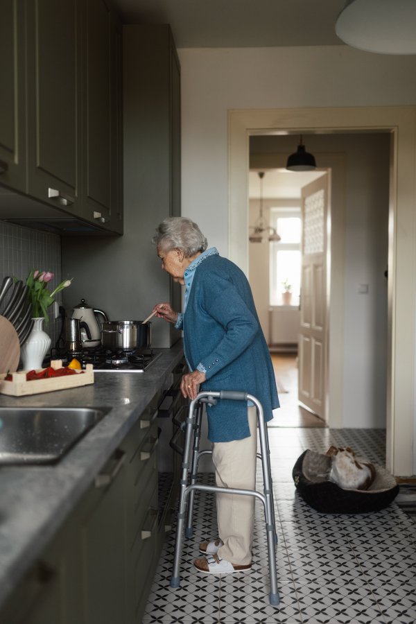 Happy senior woman preparing food in the kitchen.