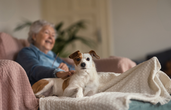 Senior woman enjoying time with her little dog at home.