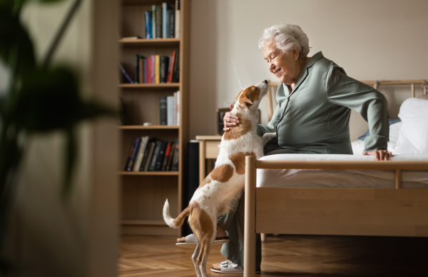 Senior woman enjoying time with her little dog at home.