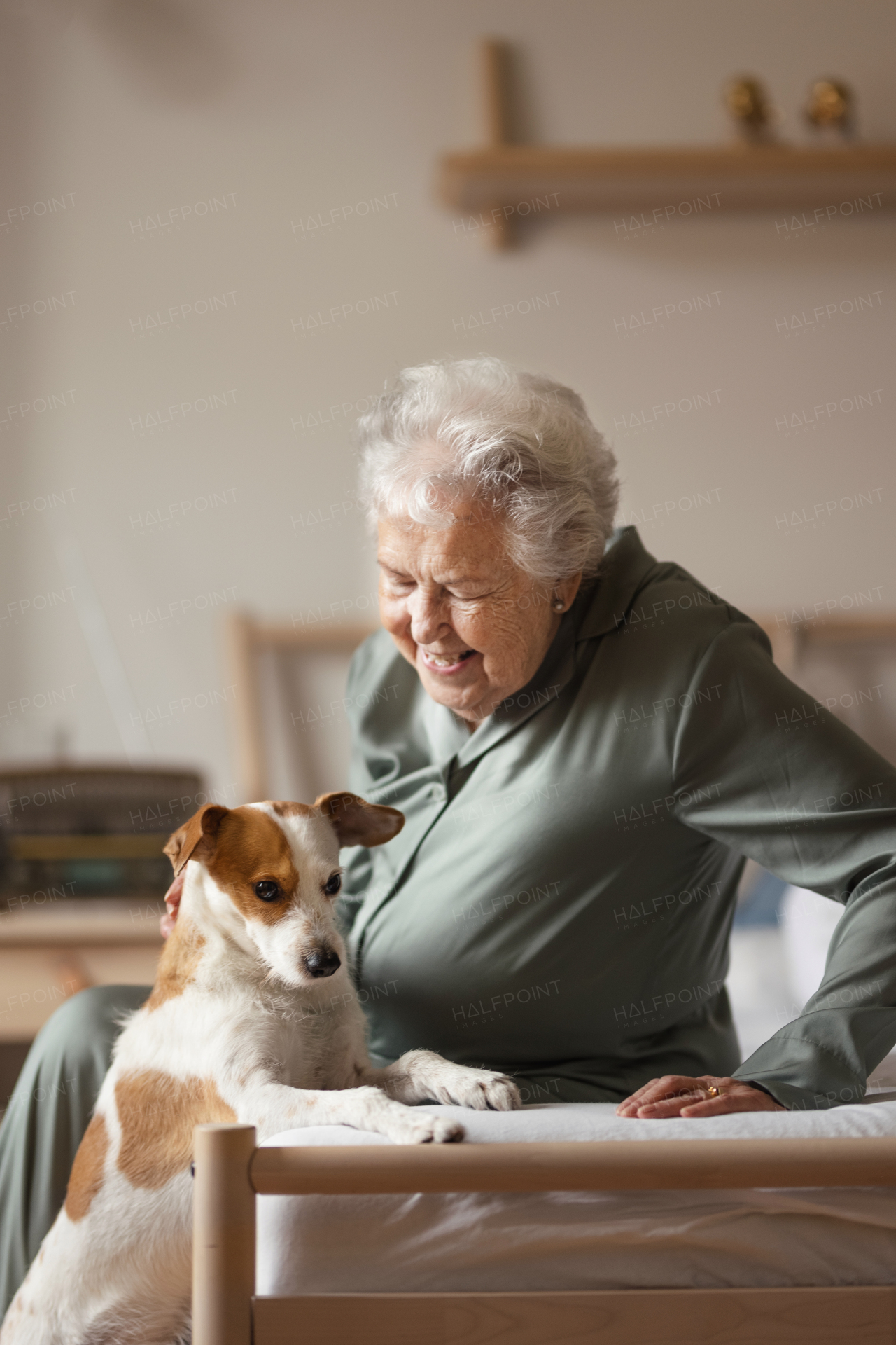 Senior woman enjoying time with her little dog at home.