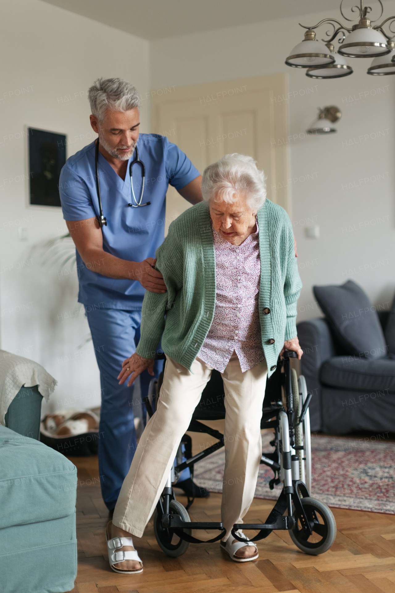 Caregiver helping senior woman to stand from her wheelchair in her home. An elderly woman is patiently trying to get up from her wheelchair.