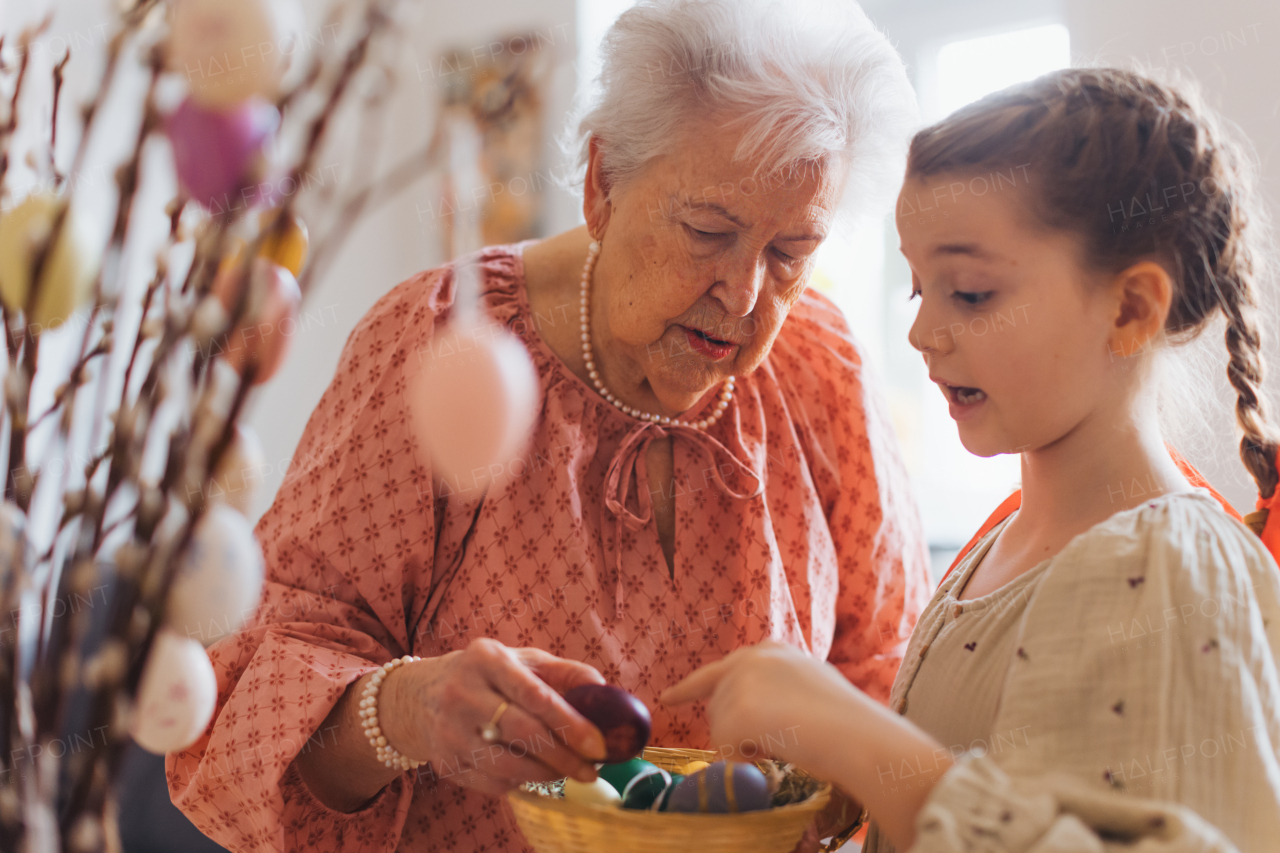 Grandmother with grandaughter decorating pussy willows branches, putting easter eggs on them. Concept of family easter holidays.