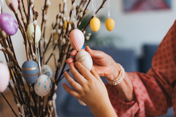 Close up of decorating pussy willows branches, putting easter eggs on them. Concept of family easter holidays.