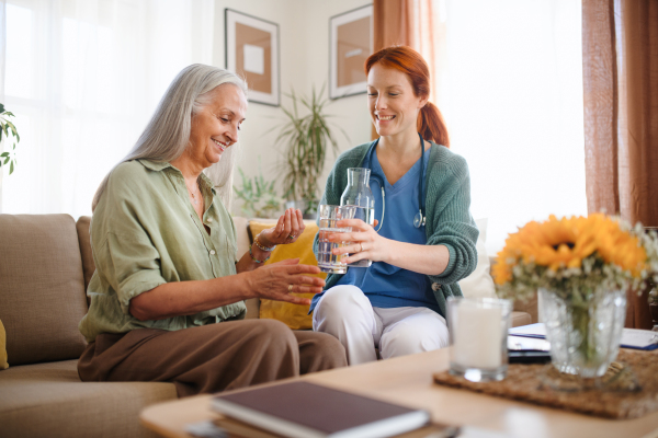 Nurse cosulting with senior woman her health condition and taking pills, at her home.