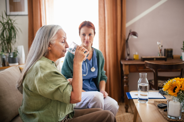 Nurse cosulting with senior woman her health condition and taking pills, at her home.