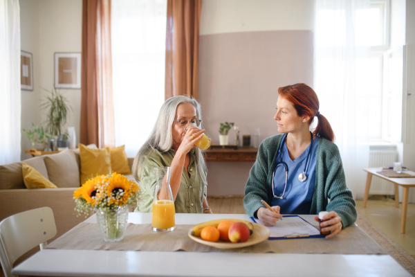 Nurse cosulting with senior woman her health condition at her home.