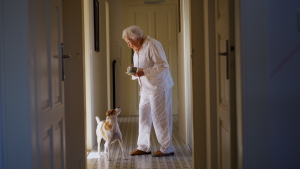 An elderly woman in pyjamas drinking hot tea in the morning, talking with her dog. Cute dog looking at elderly owner. Dog as companion for senior people.