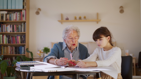 A senior lady learning with granddaughter, helping her to understand, explaining the material to her. Retired teacher tutoring children at home, earning extra income.