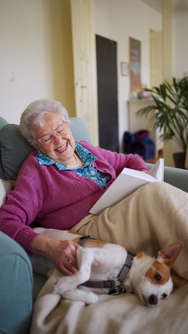 A elderly woman reading book, sitting in armchair, dog lying by her. Dog as companion for senior people.