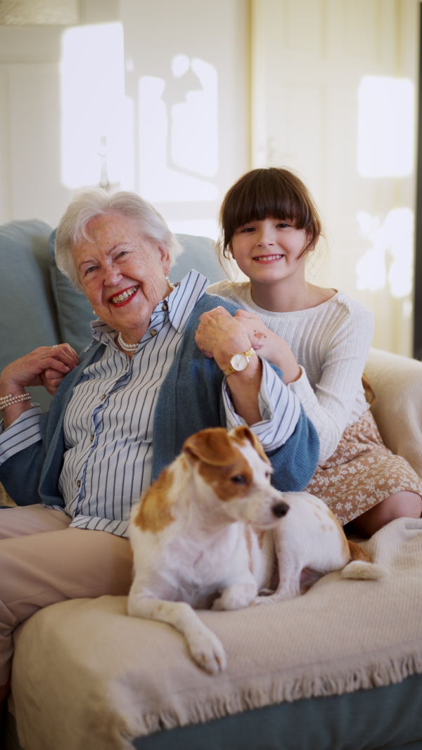 A video of elderly woman spending time with granddaughter, smiling, looking at camera. Grandmother with cute girl and dog at home.