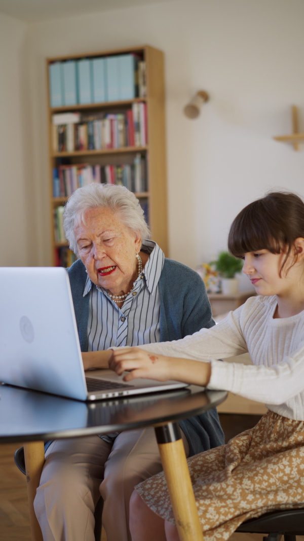 A granddaughter teaching elderly woman work on laptop. Grandmother with cute girl making video call typing on notebook, online shopping.