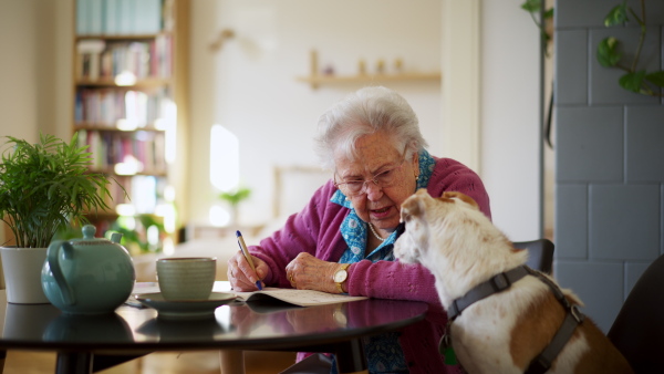 A video of elderly woman solving sudoku puzzles at home, sitting in living room with her dog. Sudoku as popular game for aging people, logical thinking, problem solving.