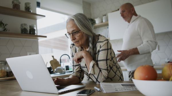 A happy senior couple calculate expenses or planning budget together at home.